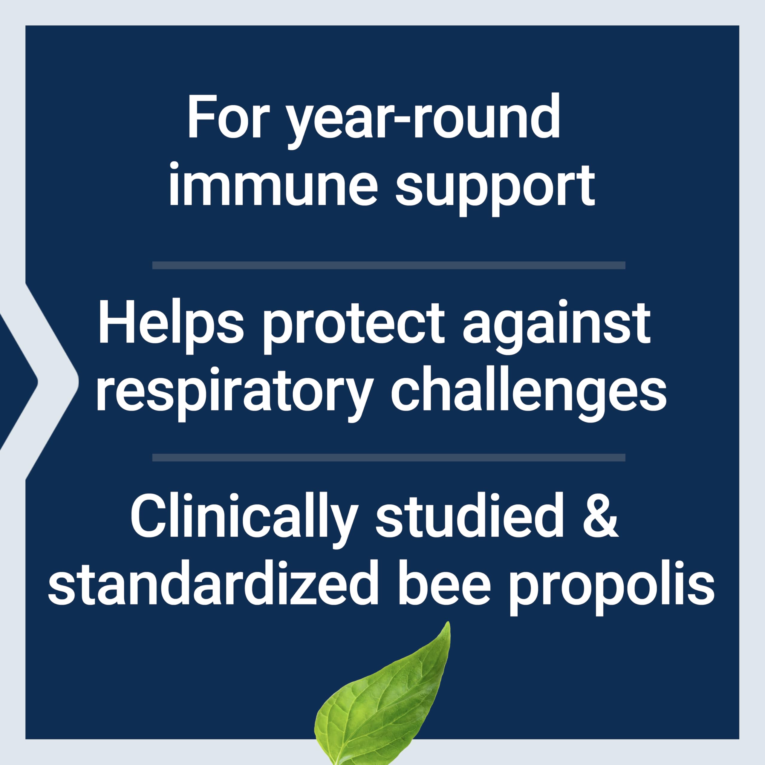 Life Extension Bee Immune Propolis Capsules, Immune Support, 60 Capsules — Amazon image 4