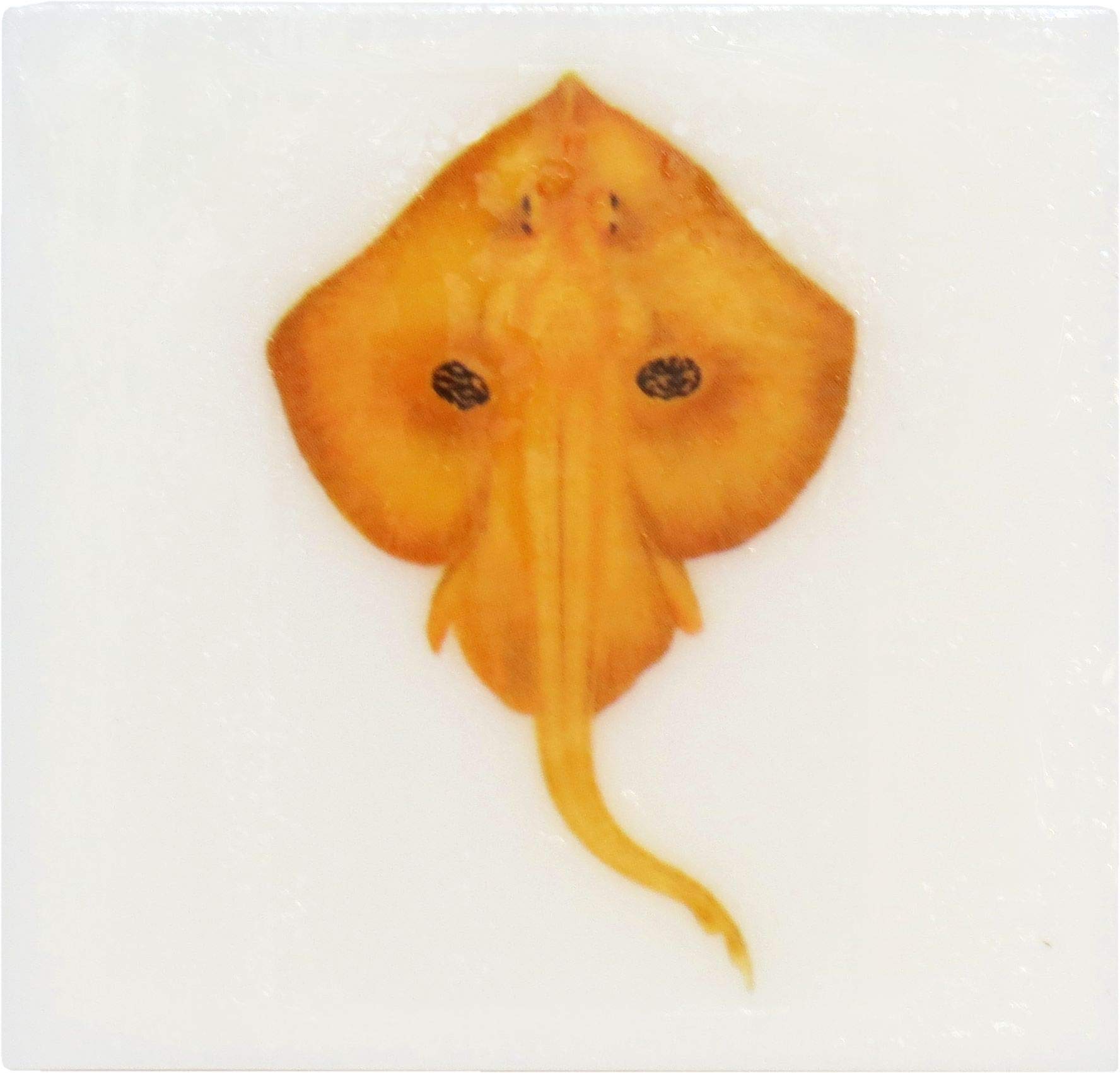 Fragrance Free Scented Glycerin Soap with Vintage Ocean Creatures, Stingray