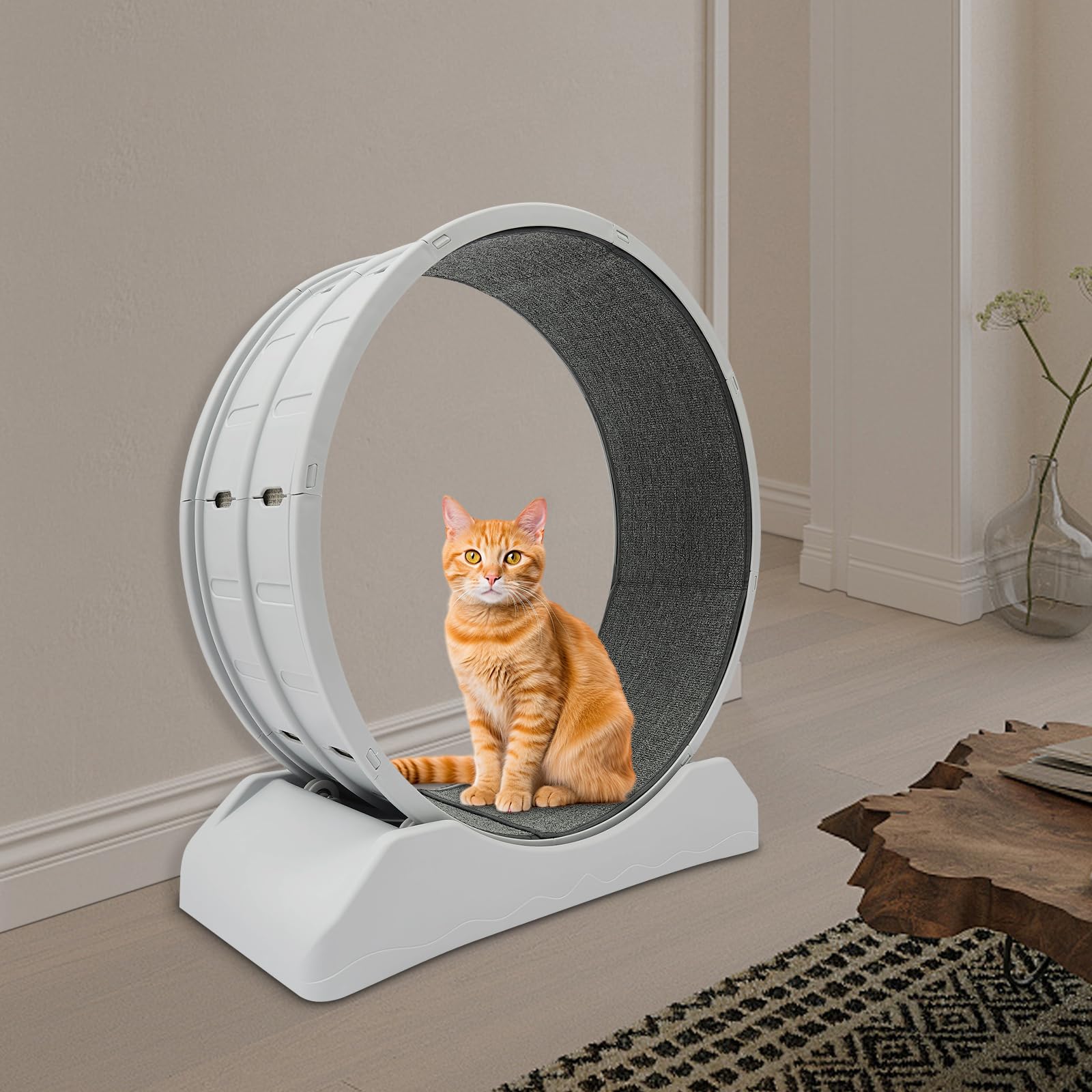 Bicicleta de entrenamiento para gatos de 80 cm, silenciosa, con alfombra resistente a los arañazos y bloqueo de seguridad, para gatos de hasta 10 kg