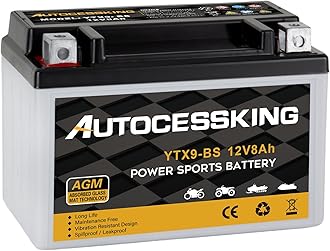 YTX9-BS 12V 8Ah Motorcycle Battery, Rechargeable Sealed AGM Battery Maintenance Free Powersport Replacement Battery for ATV and Scooter