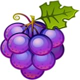 Accessible to all Festival of Grape 2016