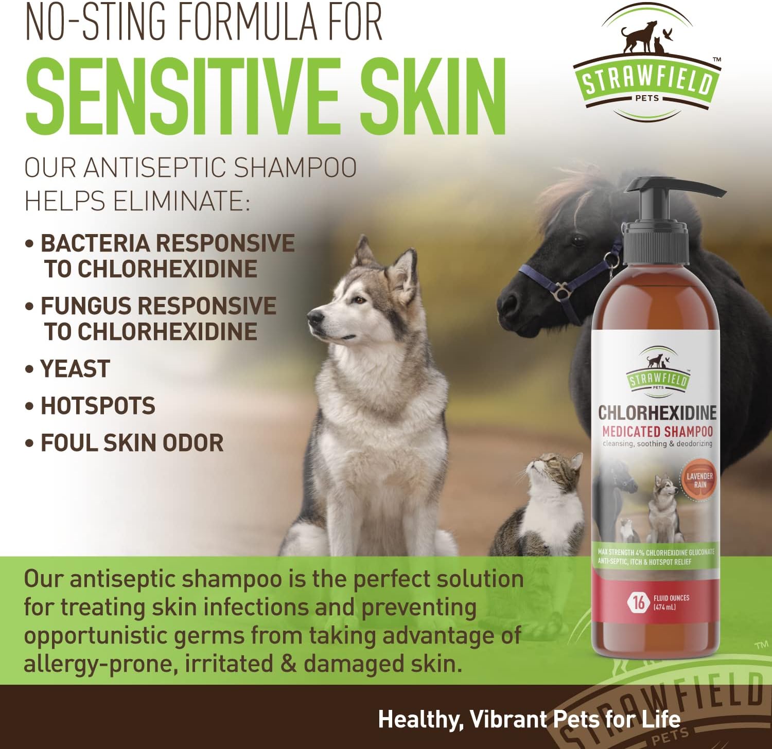 Vibrant Life Dog Shampoo atelieryuwa.ciao.jp