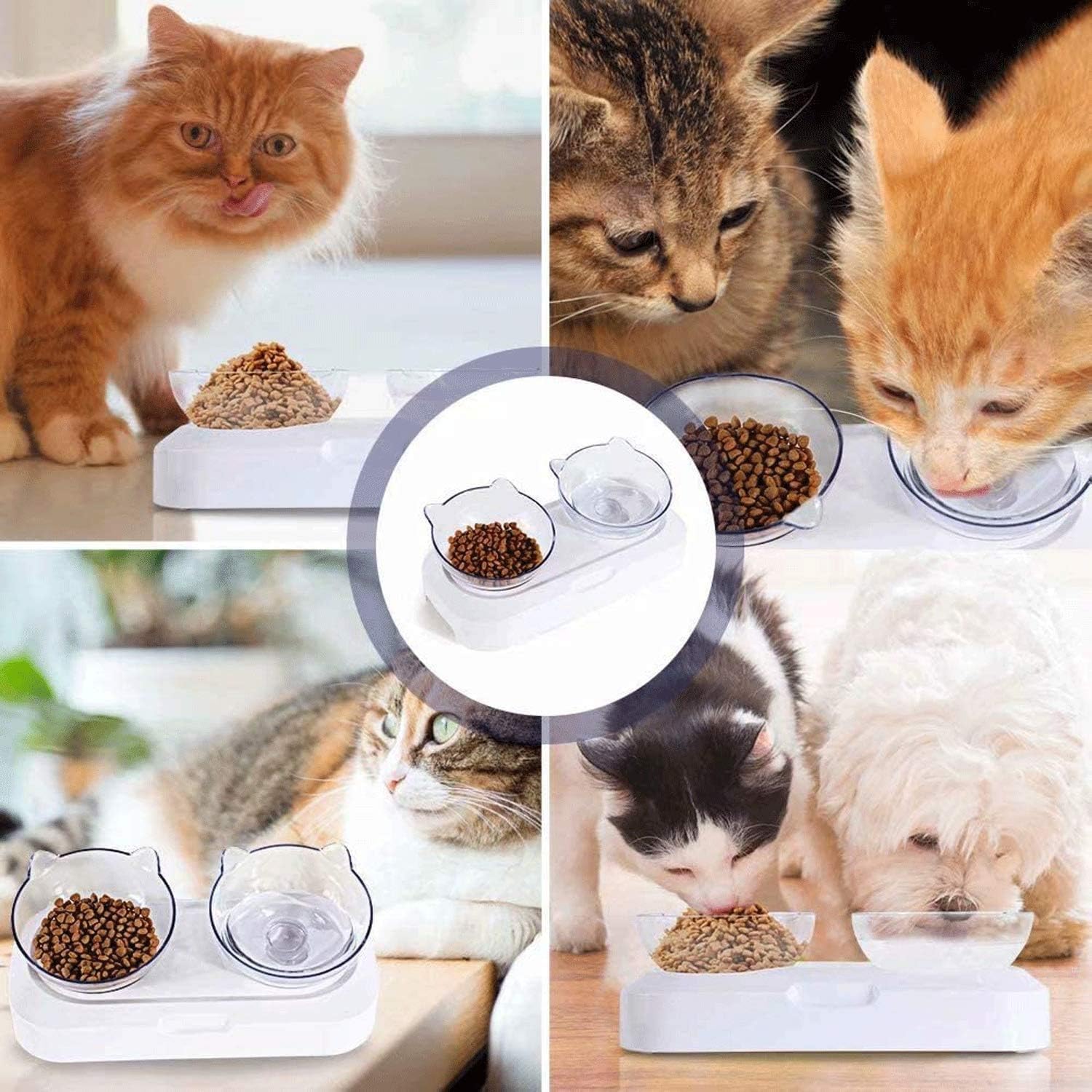 Double Cat Bowl with Raised Stand, Cat Bowl Pet Food Feeder,15° Tilted Anti-Slip Transparent Cat Food and Water Bowl, Protect Pets Cervical Vertebra, Detachable Pet Bowl for Cats and Dogs 10 71Oi1DH64lL. AC SL1500