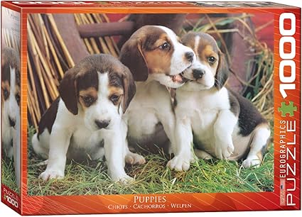 puzzles for puppies