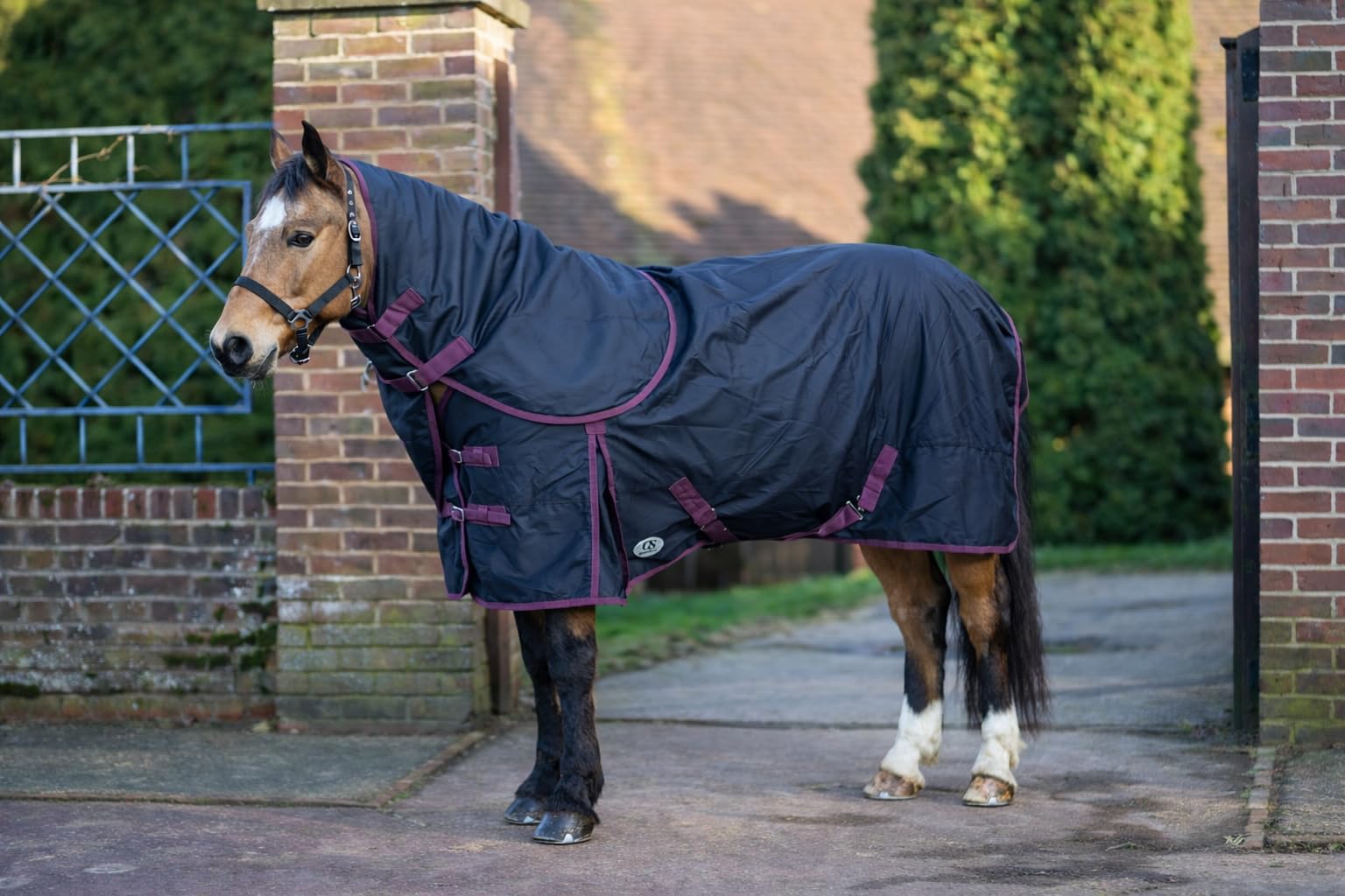 GS Equestrian 100g Detachable Neck Turnout Rug – 600 Denier Waterproof Horse Rug with Lightweight Fill, Breathable Design & Leg Straps (Black/Plum, 7'0)