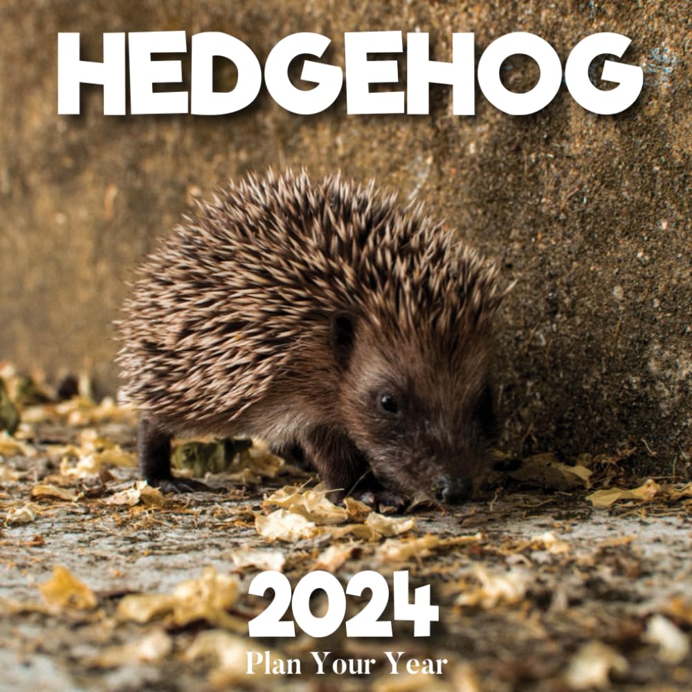 Plan Your Year Hedgehog 2024: Planning is the key to success, Organize Your Year with monthly, and weekly planning for Hedgehog enthusiasts as New Year 2024 gifts Paperback – November 3, 2023