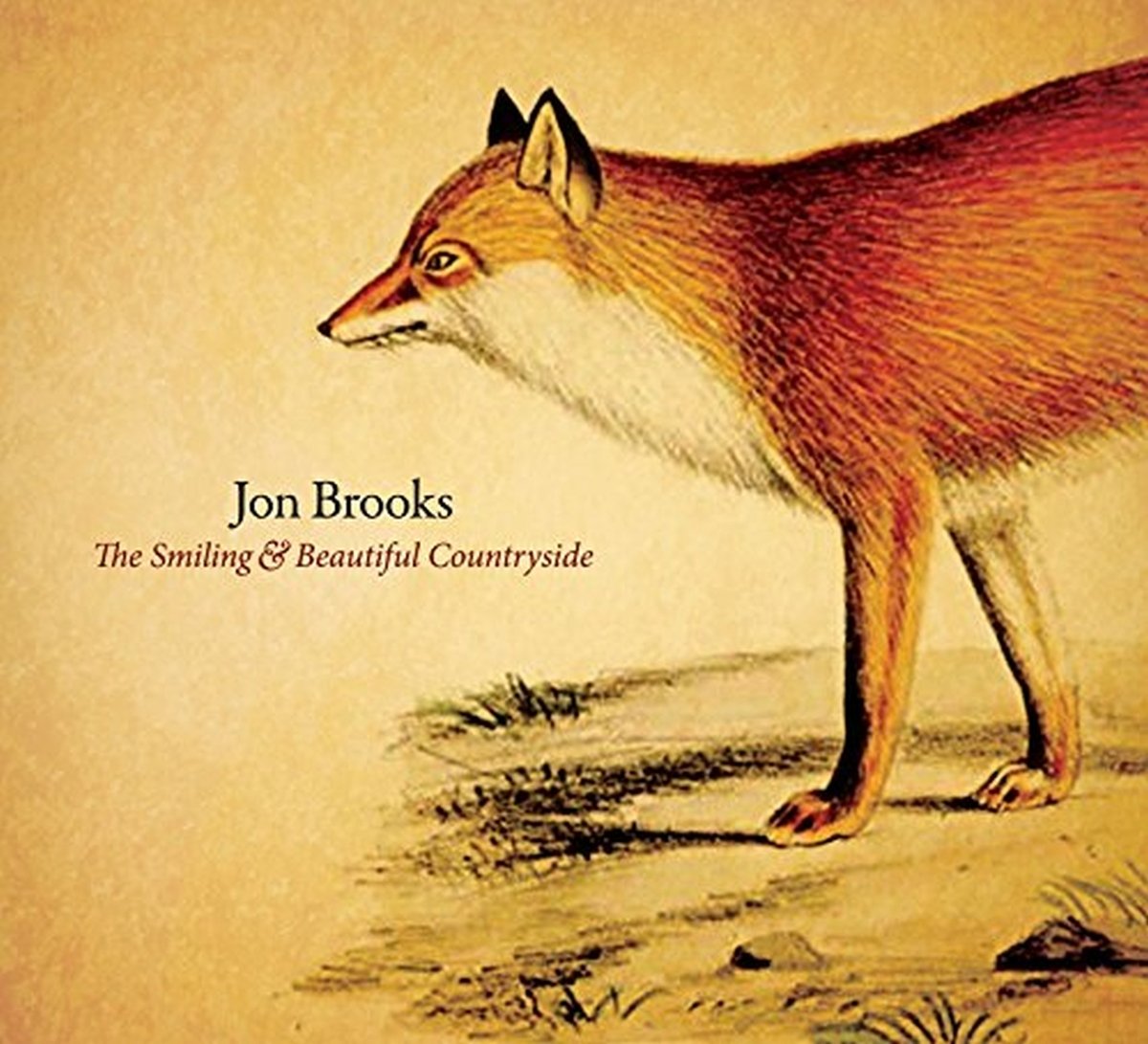 The Smiling and Beautiful Countryside [Audio CD] BROOKS,JON