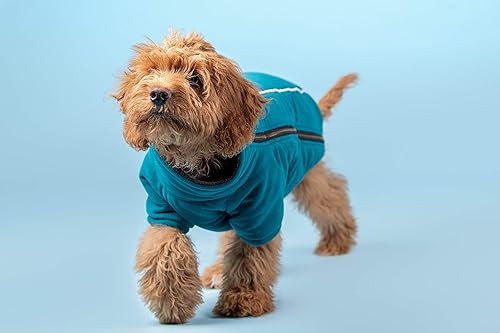 Miniatura 4 de BoxDog Chaqueta cálida de forro polar para perro I Abrigo para perro para clima frío  Chaquetas para perros pequeños (pequeño)