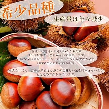 とろ様　生栗2キロ とろ様 生栗2キロ
