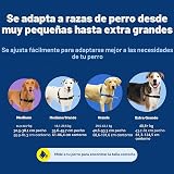 Ver la foto 7