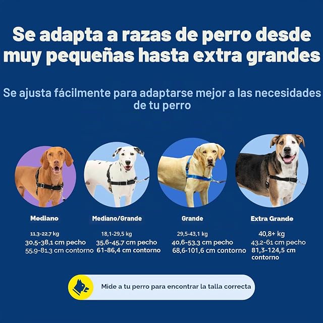 Foto 7 de 8 de Arnés para Perros PetSafe Easy Walk