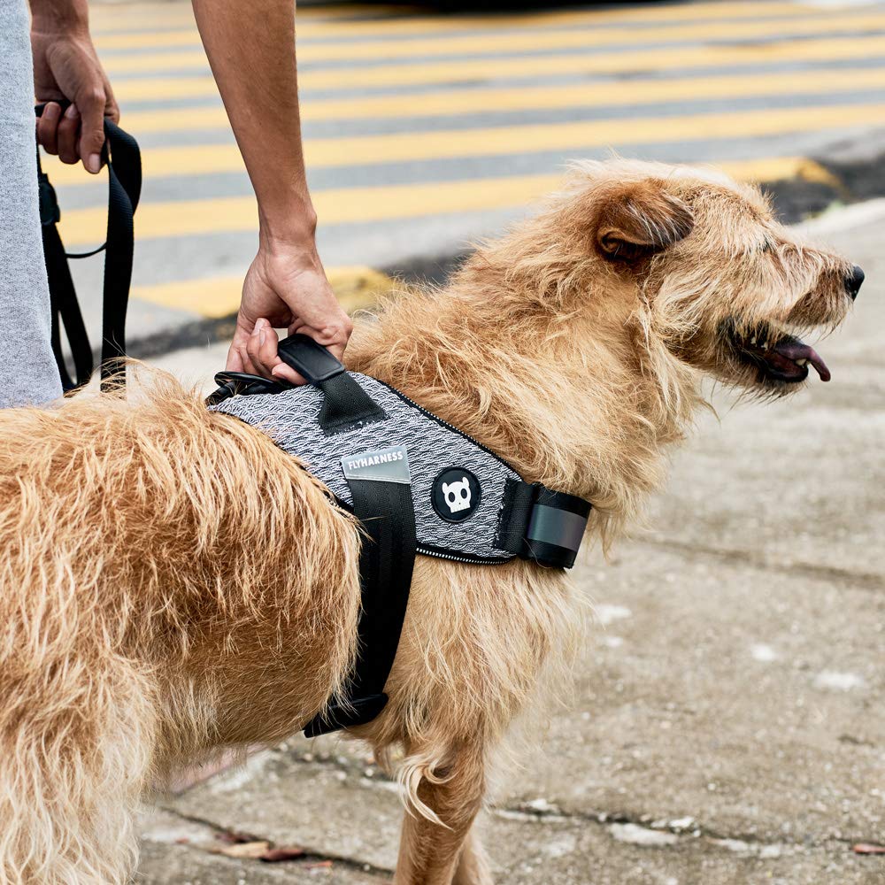 Amazon | 【zee.dog】ジードッグ FLY HARNESS フライハーネス (URBAN