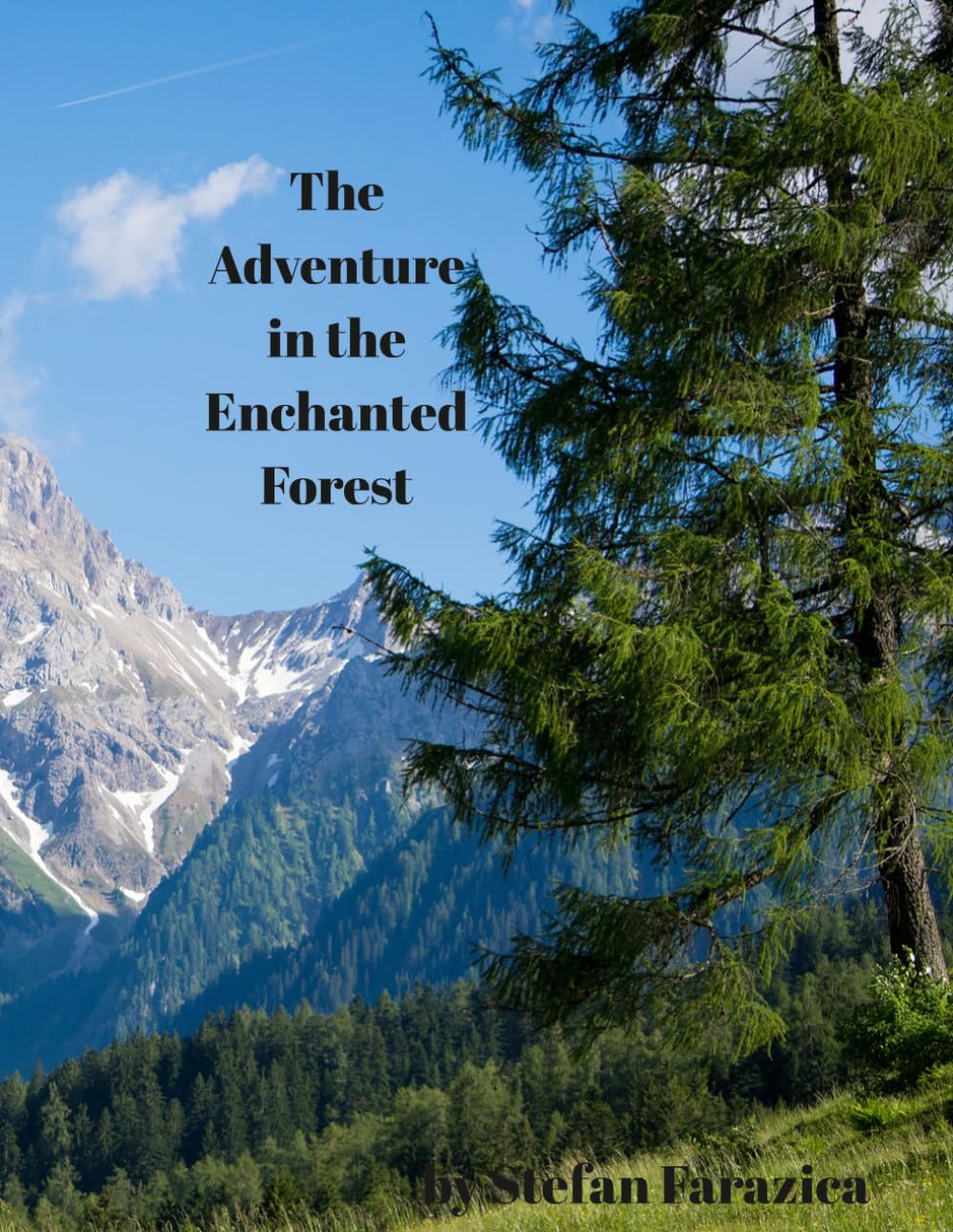 The Adventure in the Enchanted Forest