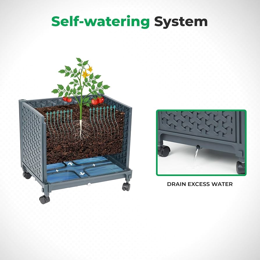 【kobe plants】 Amazon.com: KOBAZ Raised Garden Bed with Tomato Planter Cage