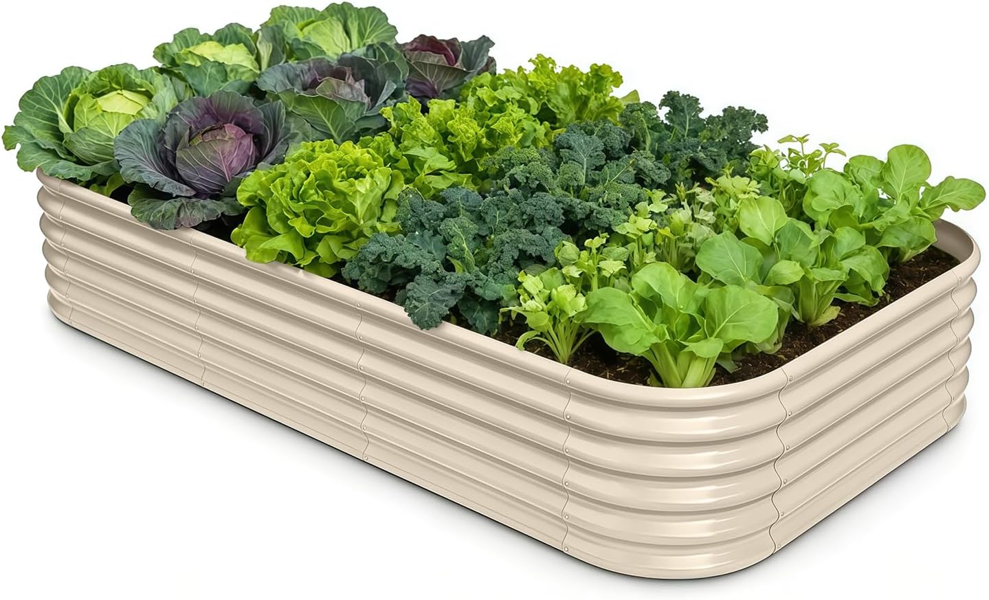Galvanized Raised Garden Bed 8x4x1.5 ft, 18" Tall Metal Planter for Outdoor Plants Vegetable Herb Leafy Green, Modular Raised Flower Bed with Rust Resistant Coating - Sand Beige