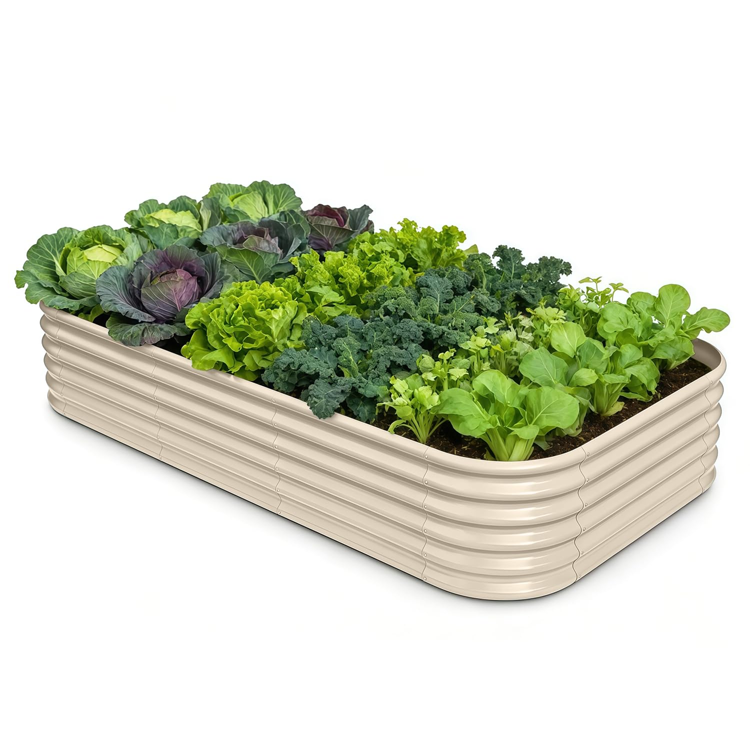 Galvanized Raised Garden Bed 8x4x1.5 ft, 18" Tall Metal Planter Box
