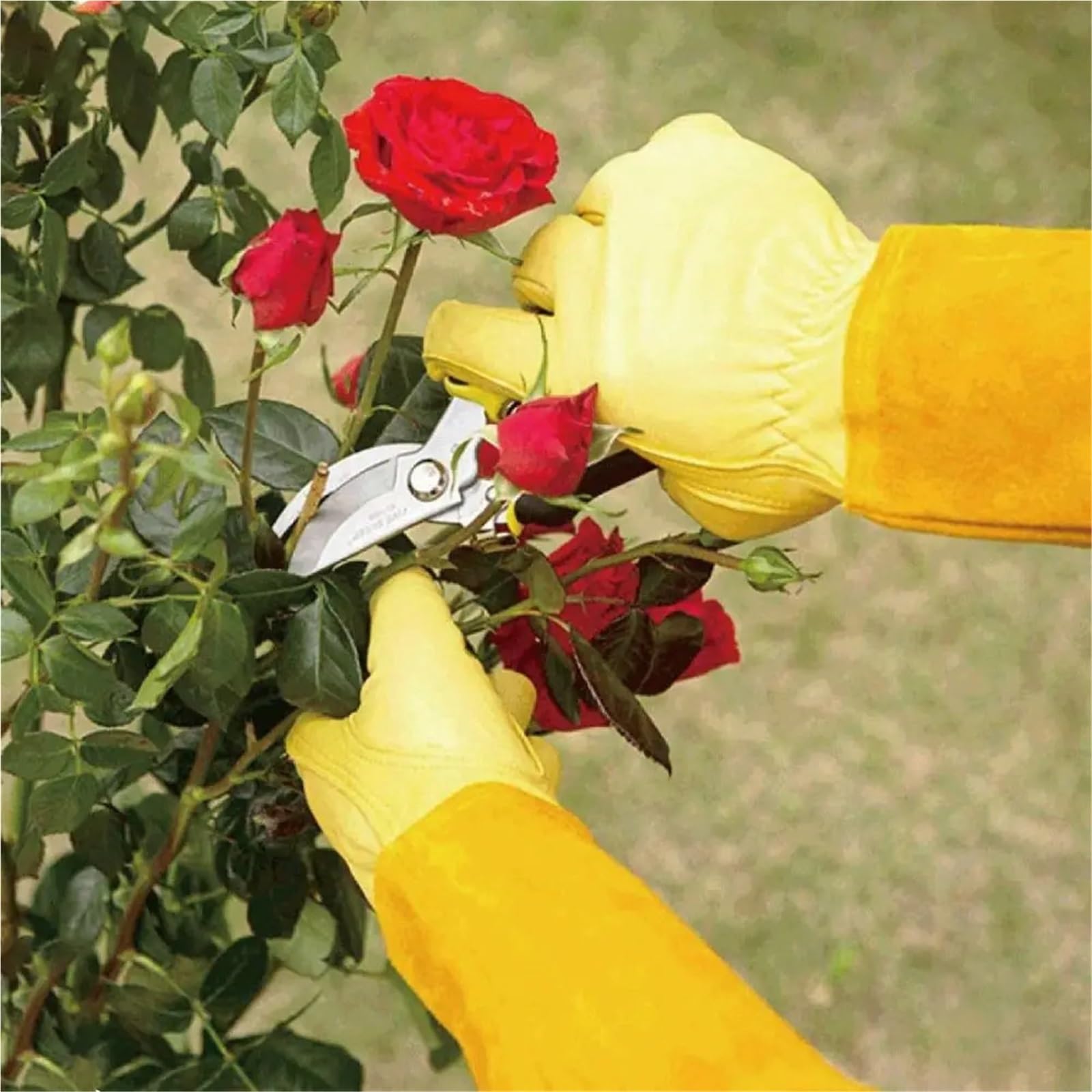 Guanti da giardinaggio lunghi di sicurezza, guanti lavoro spessi resistenti all'usura, anti-pugnalata in pelle bovina, for apicoltura Guanti da Giardinaggio Donna(L)