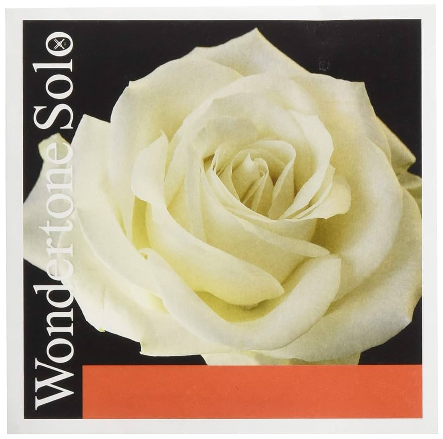 Amazon.co.jp: PIRASTRO Wondertone Solo ワンダートーン・ソロ