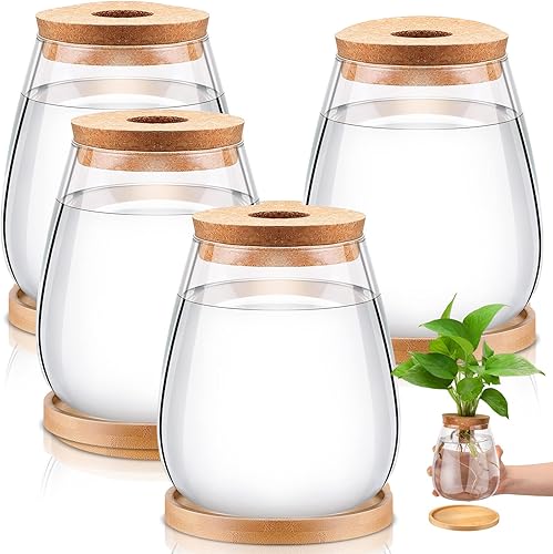 4 piezas de plantas de escritorio de terrario de propagación de plantas de propagación, jarrón de propagación, tarros de propagación, contenedores