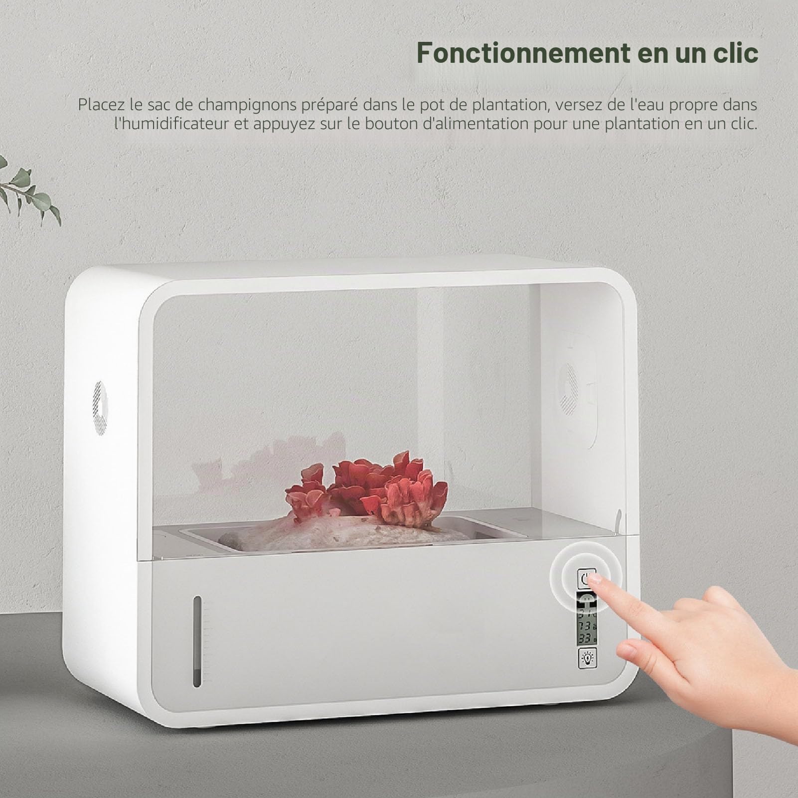 Tente de Culture de Champignons, Boîte à Champignons à Air Fixe, avec Kit de Culture de Champignons à Visualisation Transparente sans Sol Automatiquement Intelligent