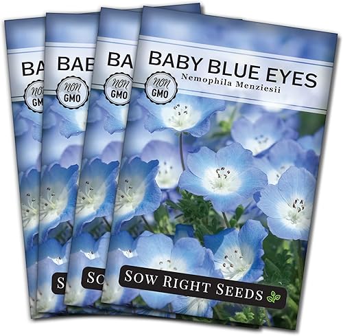 Miniatura 9 de Sow Right Seeds - Semillas de flores Baby Blue Eyes para plantar - Hermosas flores para plantar en el jardín de tu hogar - En interiores o