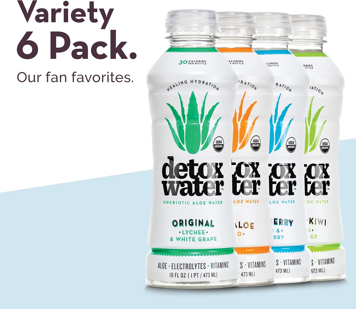 Detoxwater Organic Aloe Vera Infused Prebiotic Water, Highest Quality Aloe with Electrolytes, Vitamins, & Antioxidants to Support Digestive, Immune & Skin Health, 30 Calories (Variety 6 Pack) : Health & Household