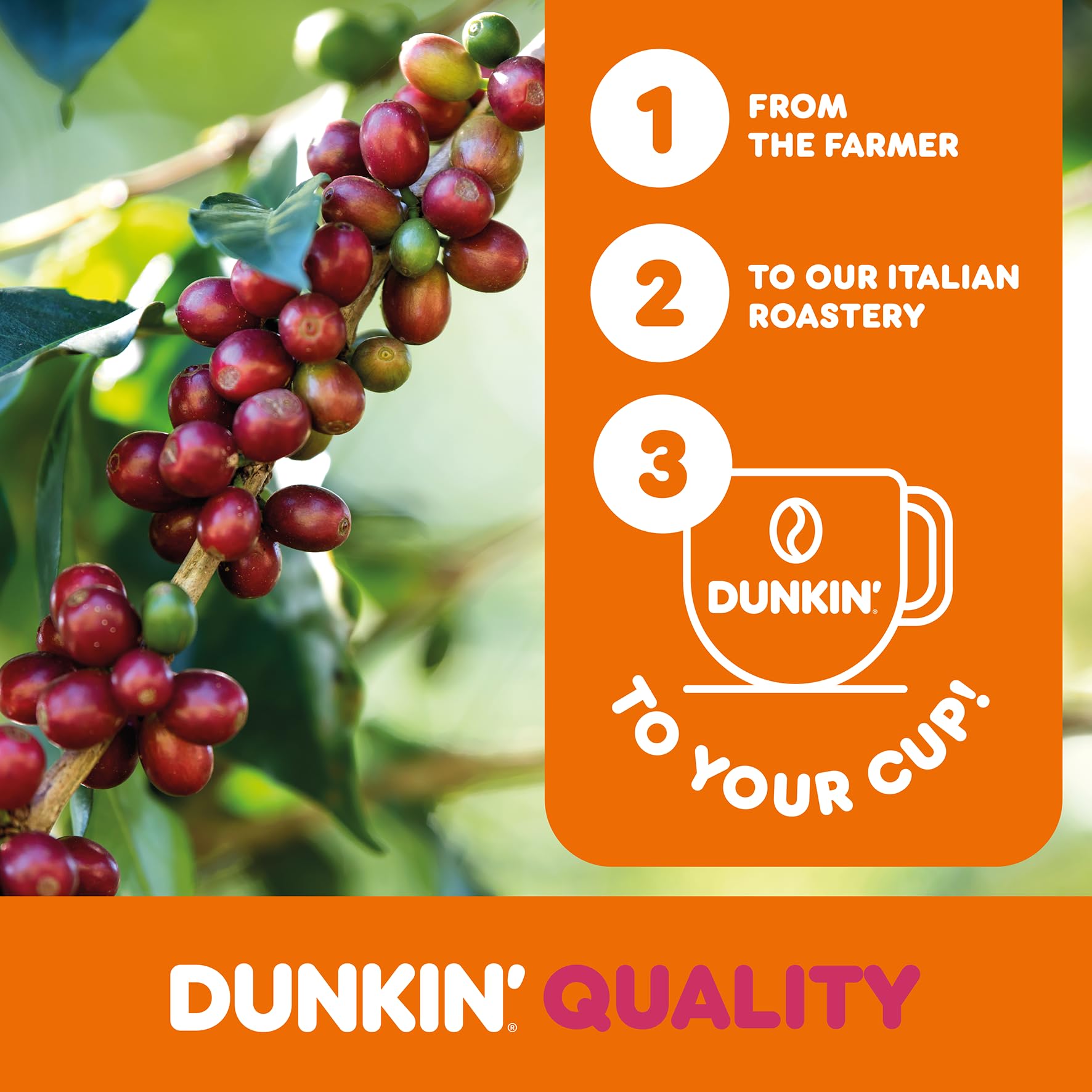 Dunkin’ Donuts Signature Blend – 100 kapsułek kawy kompatybilnych z Nespresso – 100% Arabica – Ekskluzywna mieszanka – Kawa bogata, zrównoważona i aromatyczna