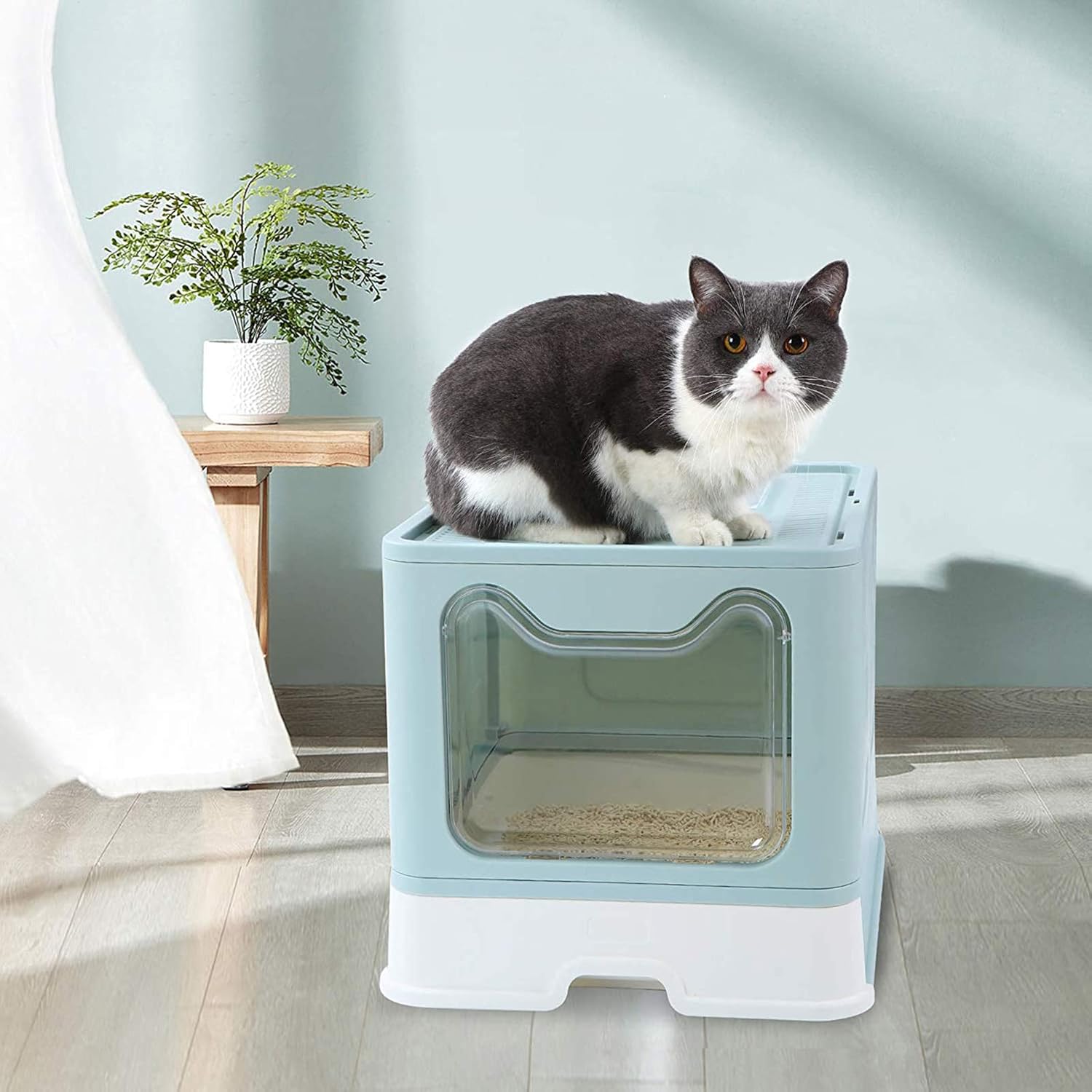 Amazon 猫トイレ 猫 ネコ トイレ 大型 猫 システムトイレ 猫のトイレ 猫用トイレ本体 砂が飛び散らない 臭わない スコップ付き 清潔しやすい 2ドア式 漏れ砂穴設計 上から出る 引き出し式 折りたたみ式 組立しやすい 可愛い猫顔ドア 51 41 38cm 取扱説明書