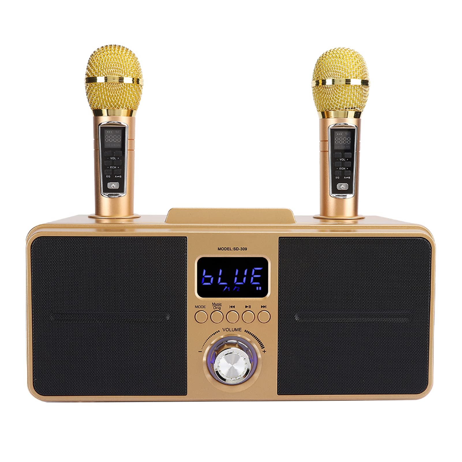 Karaoke Bluetooth Speaker, Singing Practice Music Player, Sound, for Family KTV (YOUTHINKmwgt6zd3a0-12)