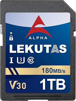 1T999GB Class 10 UHS-I V30 Memory Card, Up to 180MB/s Read Speed