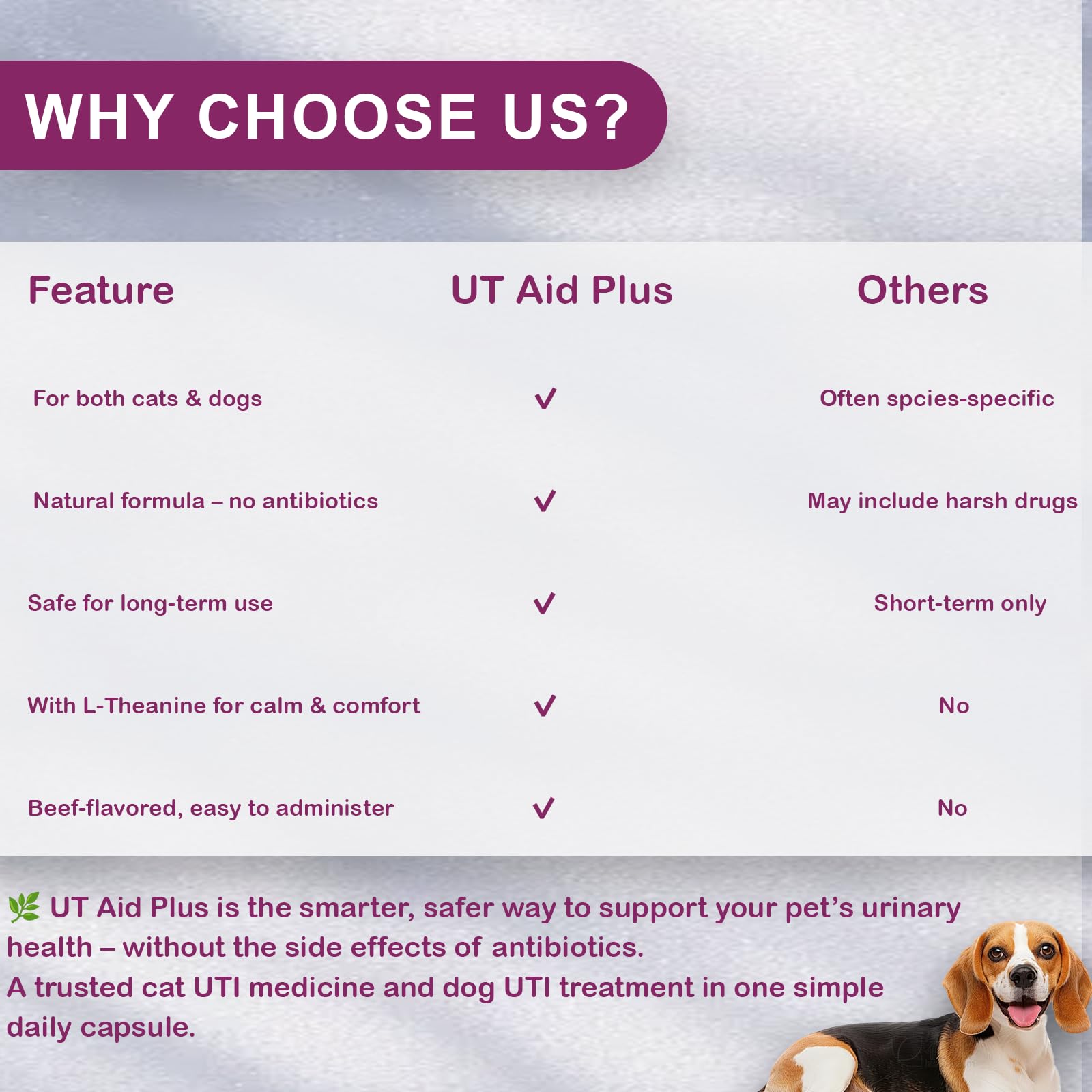 Natural Uti Treatment For Cats And Dogs Antibiotic Free Urinary