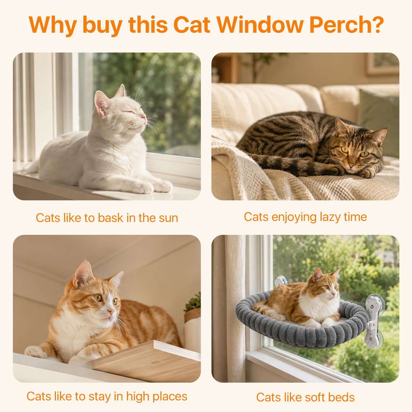 Perchoirs de fenêtre pour chat (gris)