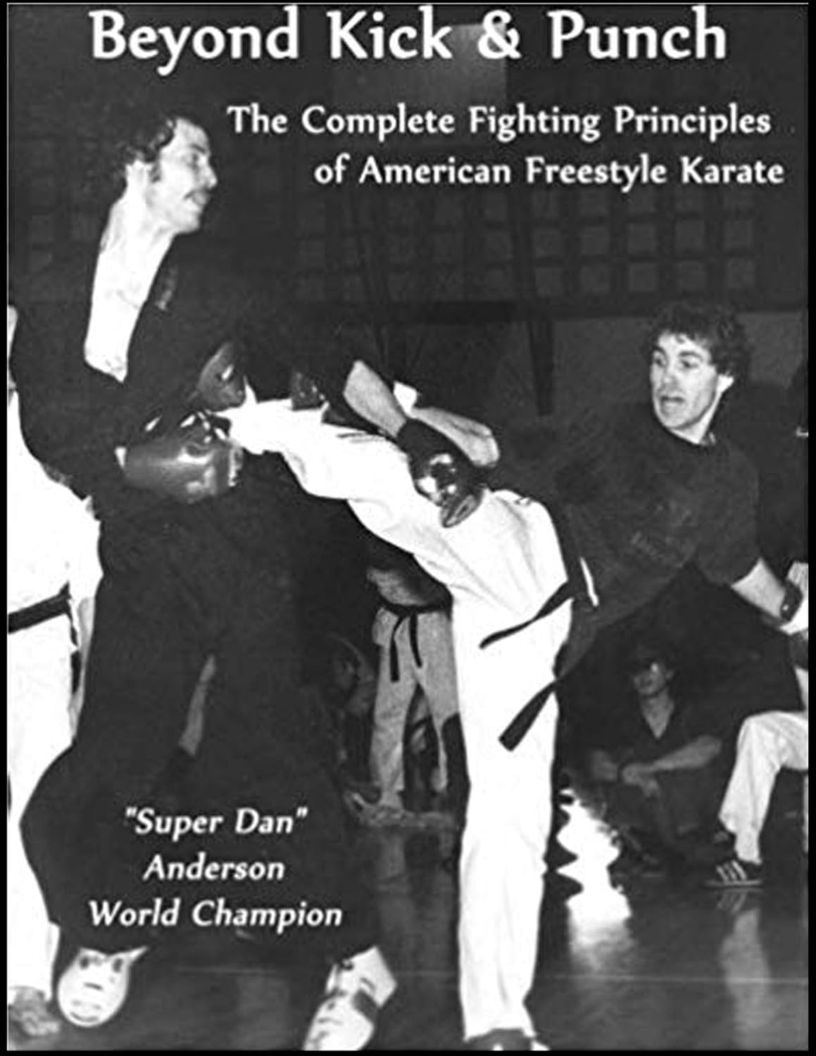 Beyond Kick & Punch The Complete Fighting Principles of