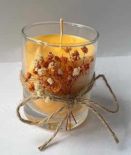 Scented Soy Wax Candle | Scented Candles for Home | 10.6 oz/300 g. 50-60 Hour Burn, Essential Oils All Natural Soy Candles Gifts for Women, Aromatherapy Candle with Orange Candle in Glass cup Gift Box | Valentines Day Gifts, Birthday Gifts, Mother's Day Gifts, Thanksgiving Days Gifts (Orange)