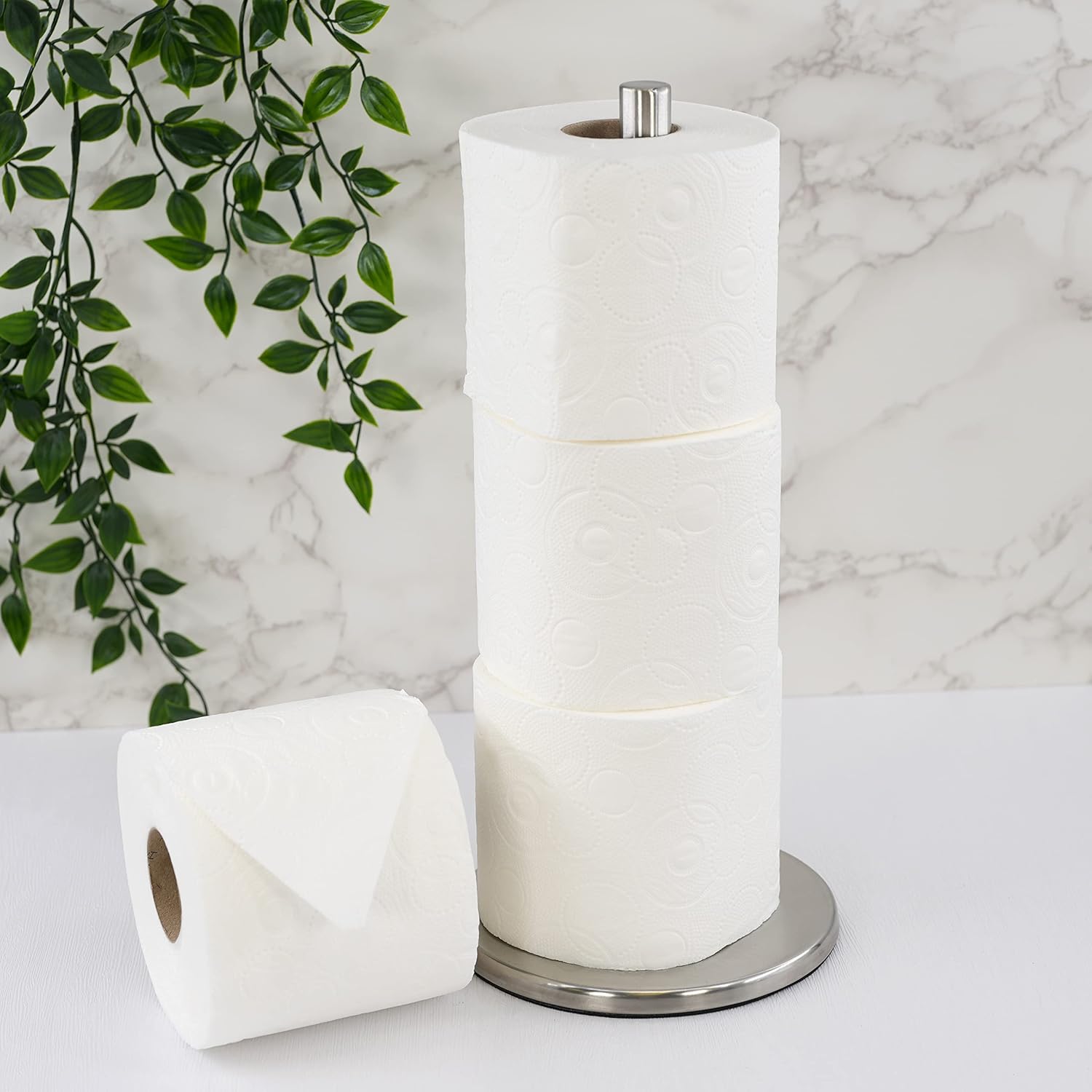 Home & Style Toilet Paper Roll Holder in Colour Box Standing Silver