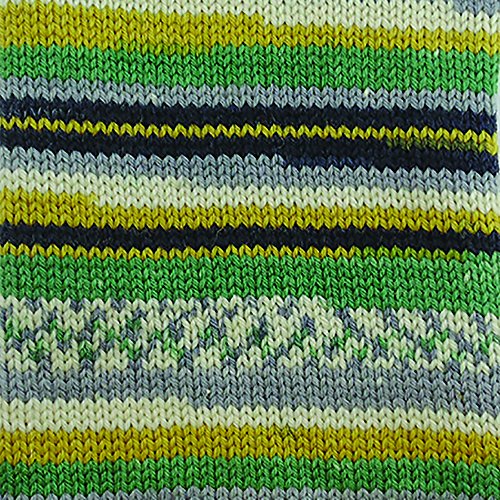 Image of Patons Kroy Socks Yarn - (1) Gauge - 1.75 oz - Greener Pastures Jacquard -