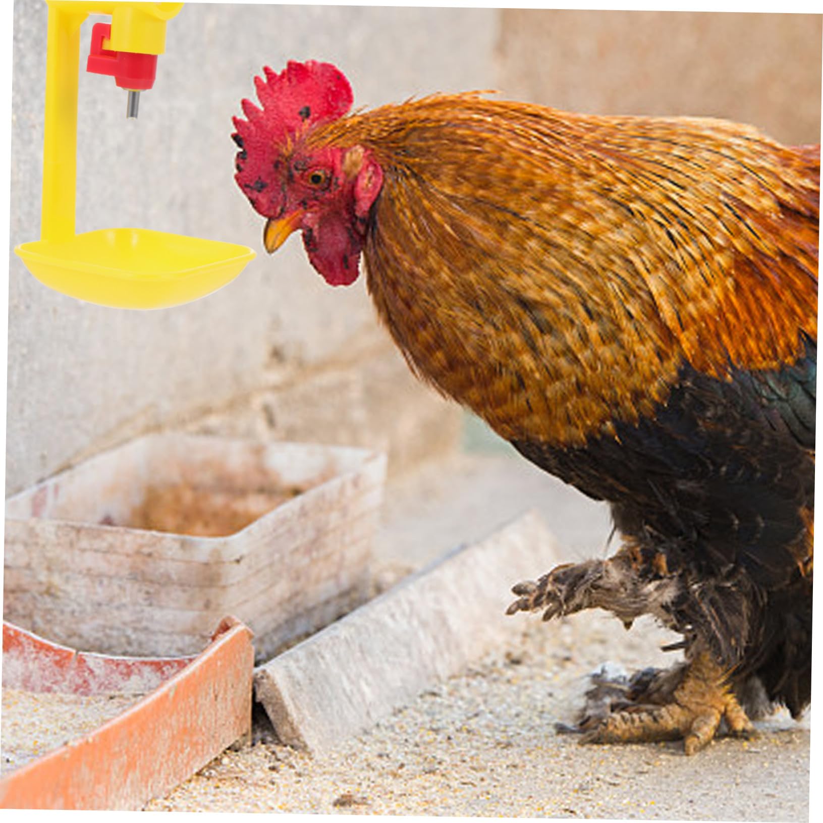 UPKOCH 10stücke Nippeltränke Für Huhn Automatische Hühnertränke Praktische Geflügeltränke Hühnertränknippel Wasserspender Für Huhn Hühnertränke Mit Nippel Automatische Trinkschale Für Hüh