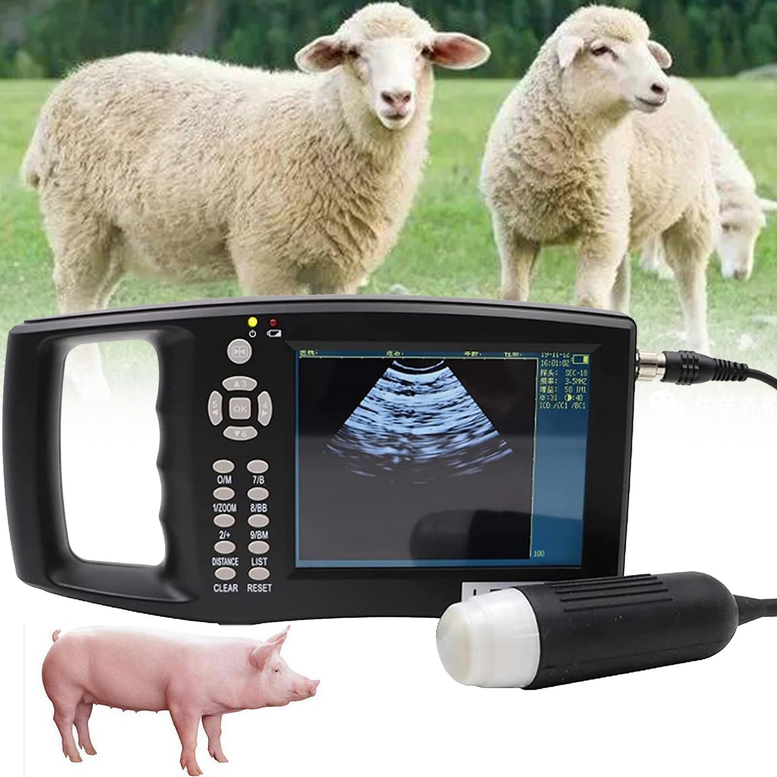 Zestaw weterynaryjnego skanera ultradźwiękowego z 12 kolorowym ekranem, przenośna maszyna do testów ciążowych HD, z mechaniczną sondą do pomiaru ciąży świń i owiec