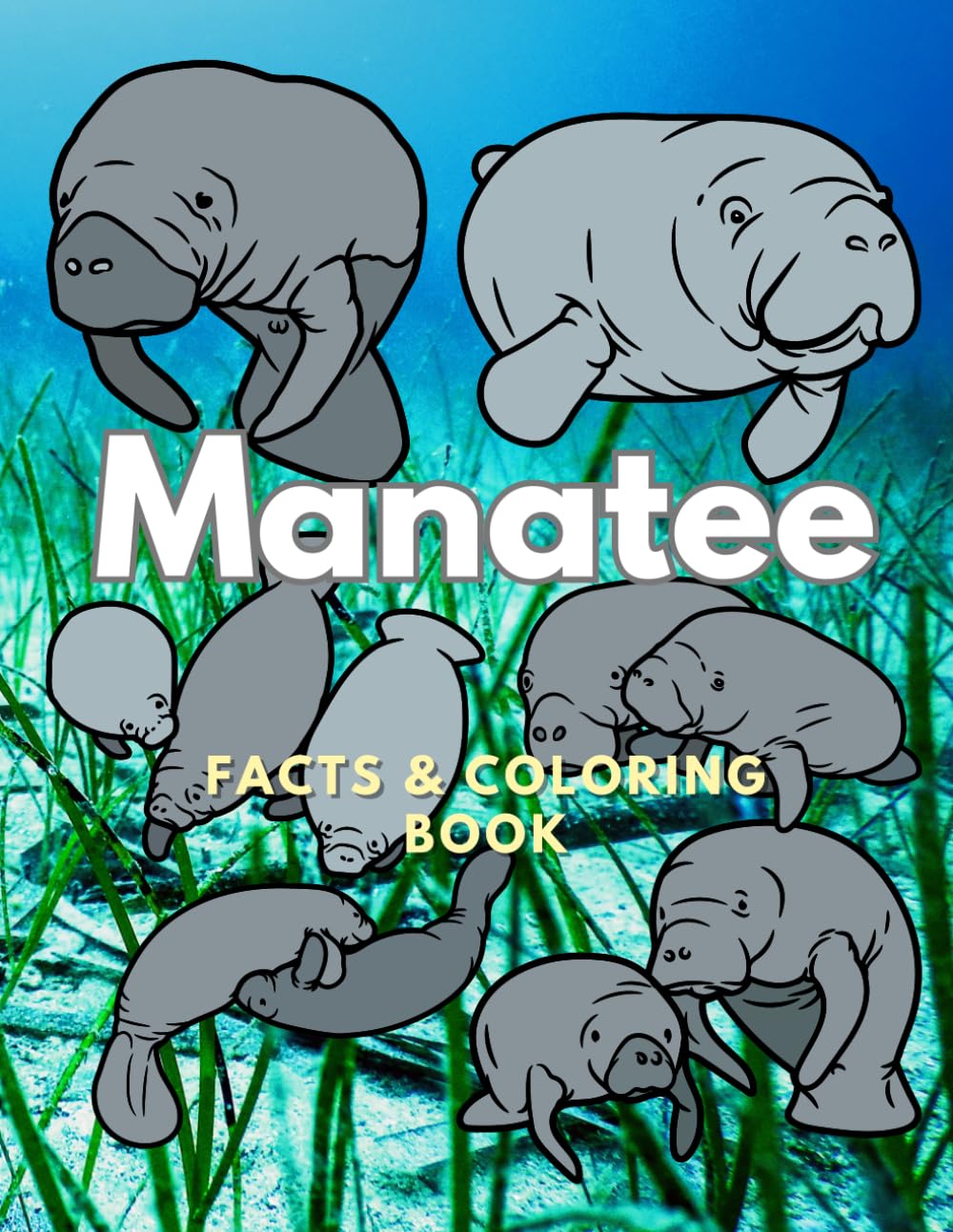 Manatee: Facts & Coloring Book: Colouring Activity Book for Children Aged 2 to 16 Years (Animal Facts and Coloring)
