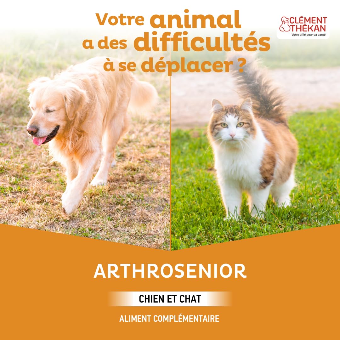 Clément Thékan Arthrosenior Grand Format - Aide à la mobilité articulaire chez Le Chien et Le Chat - Stimule la régénération du Cartilage - 90 comprimés sécables aromatisés