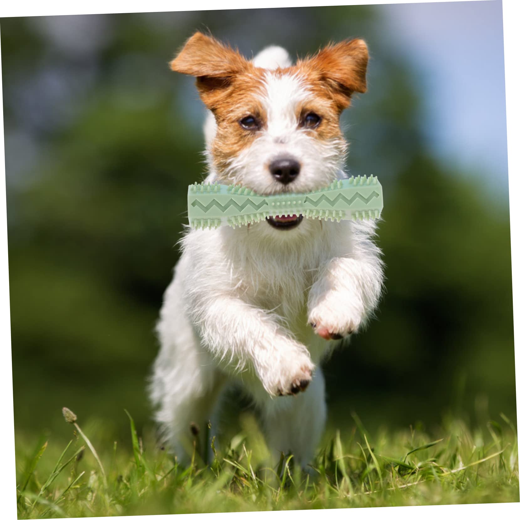 BESPORTBLE 9pezzi Giocattoli Masticabili Per Cani Giocattoli Per Cuccioli Resistente Molar Plaything Per Pet e Perfetti Per Allenare Denti e La Noia