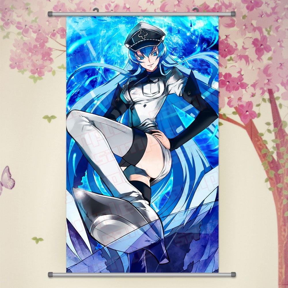 A Wide Variety Of Akame Ga Kill Anime Characters Wall Desertcart