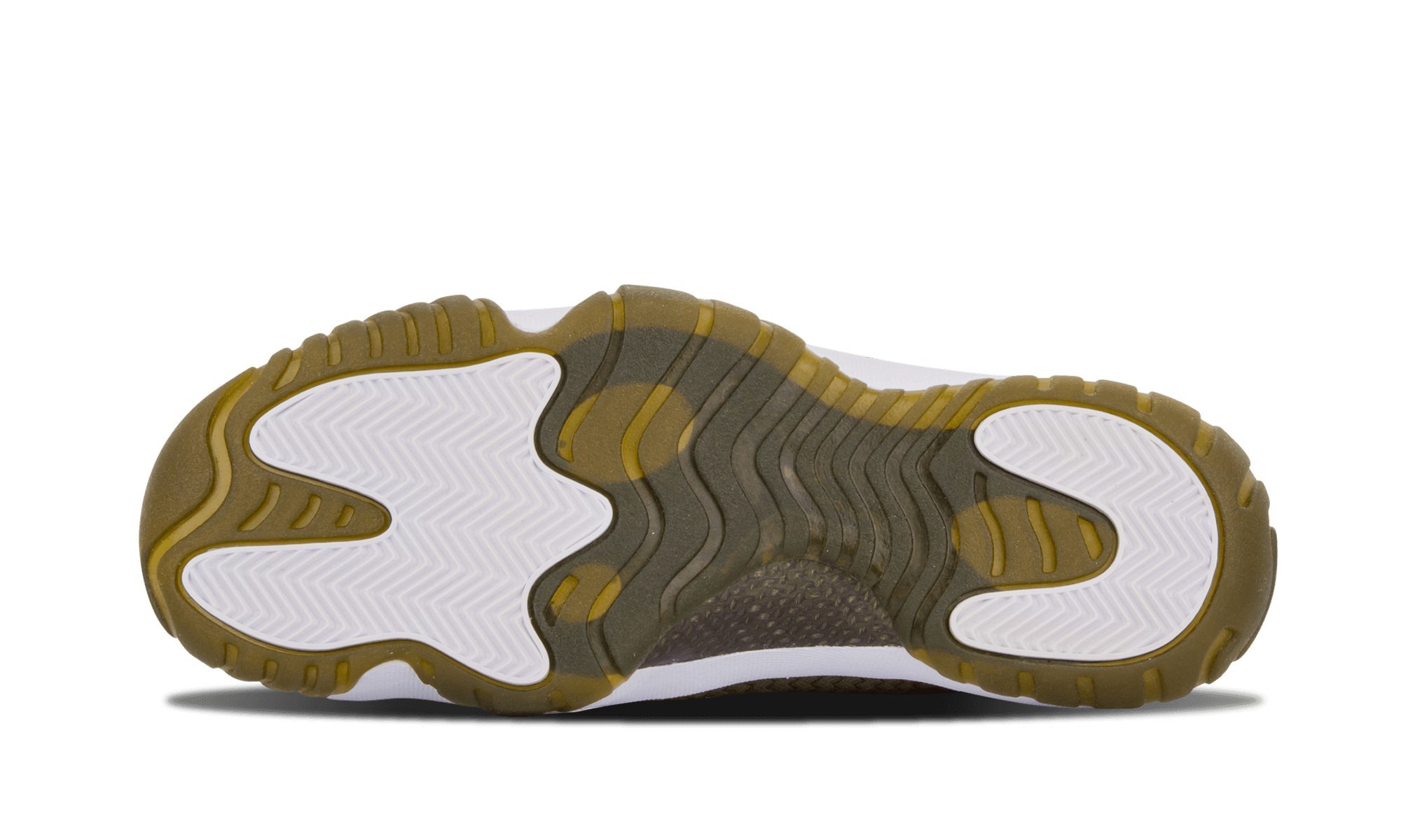 jordan future iguana