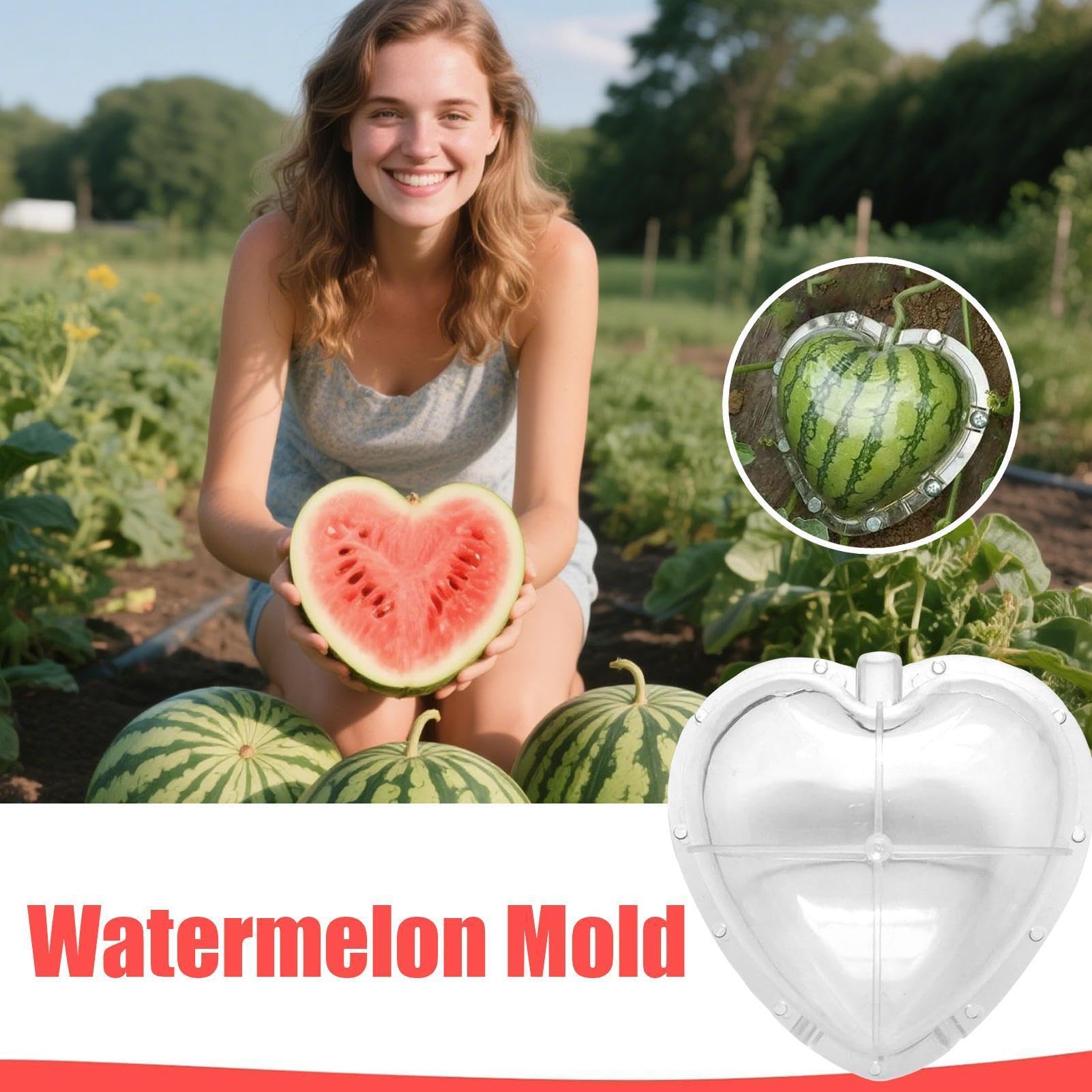 Stampo per coltivazione 'anguria a forma di cuore – strumento trasparente per modellare frutta con fori traspiranti | Stampo da giardino riutilizzabile per cuori, angurie e zucche | Coltivazione