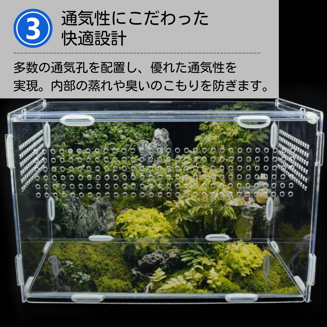 Amazon | ateena 爬虫類 ケージ 飼育ケース 水槽 レプタイル 飼育