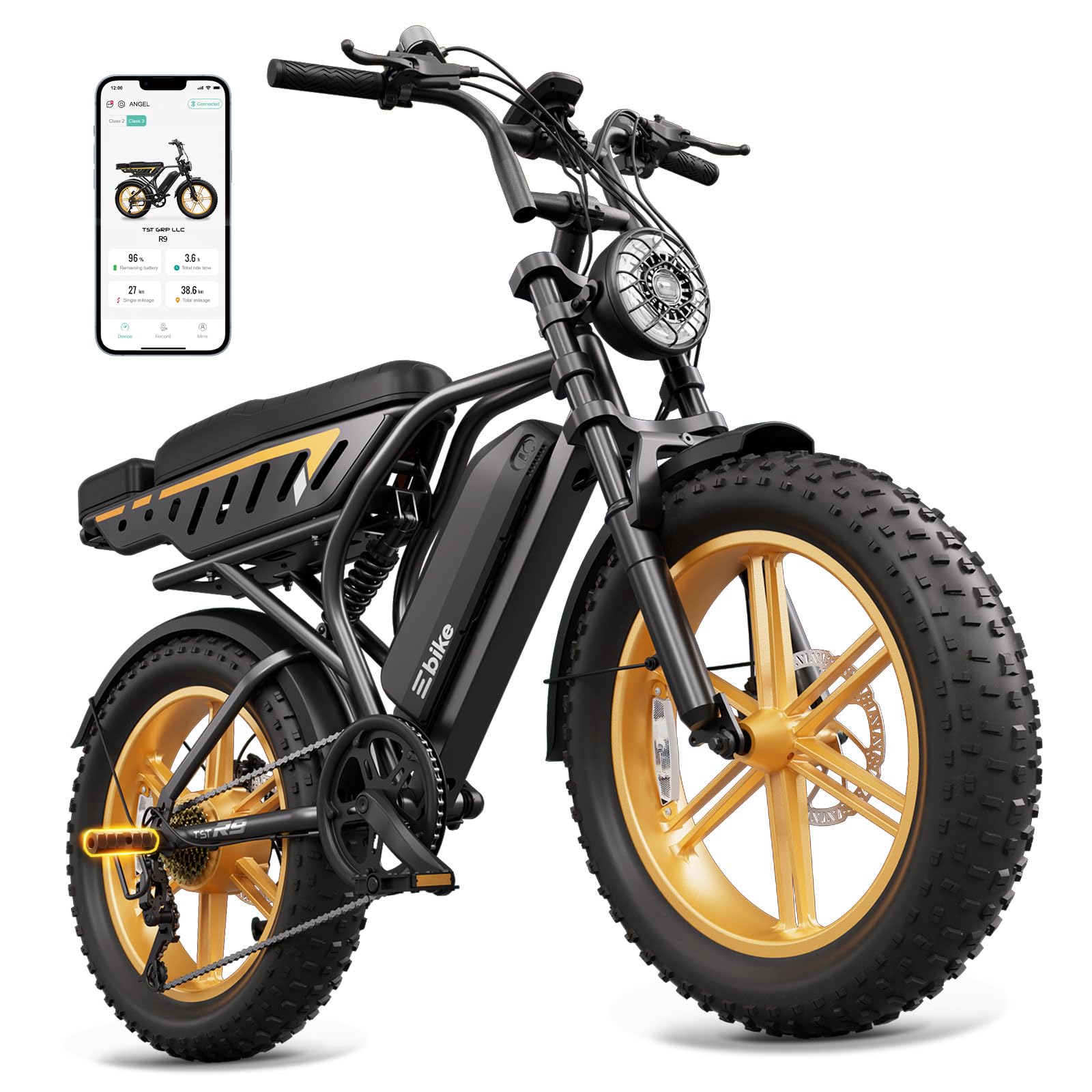 TST 1500W Peak Fat Tire Ebike
