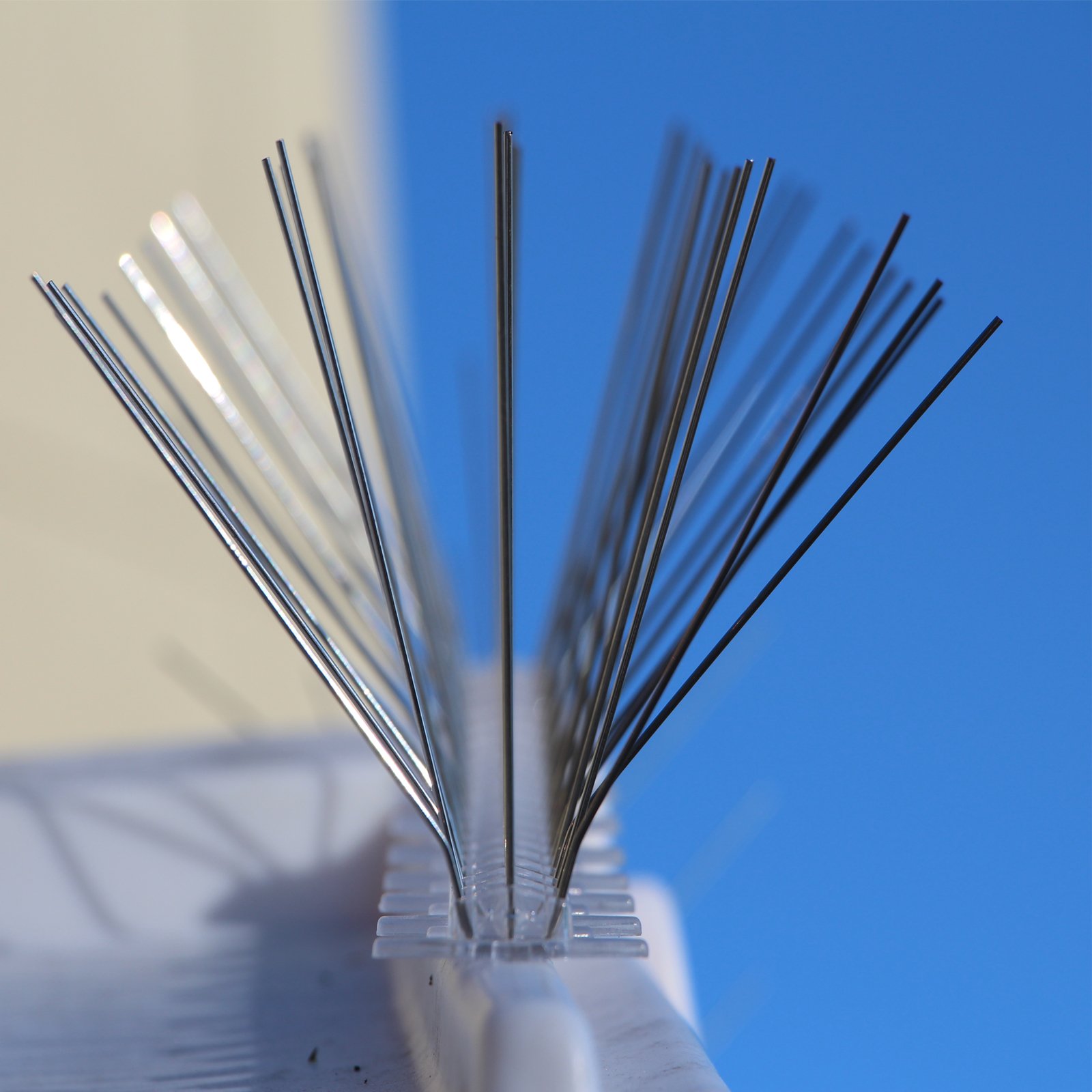 Dissuasori per piccioni in acciaio inossidabile, repellente per uccelli 0,5 m, 5 m, 10 m resistente ai raggi UV & inossidabile