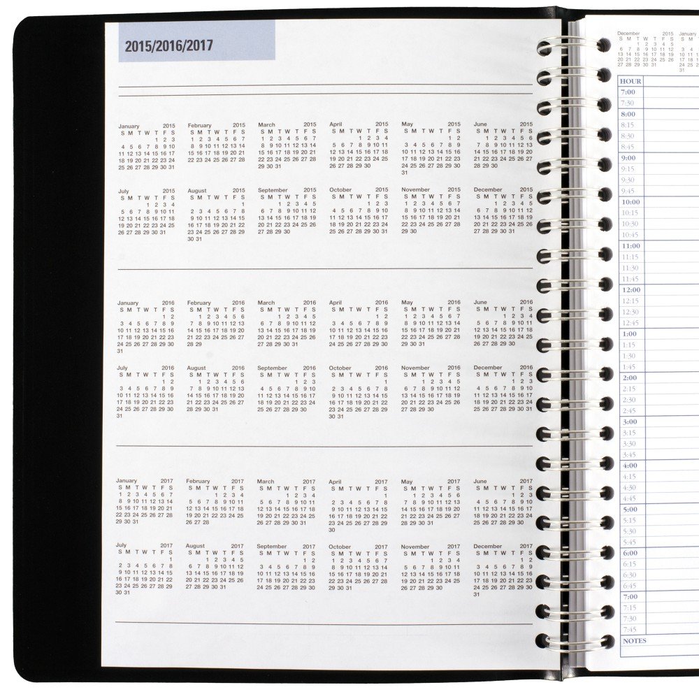 AT-A-GLANCE Daily Appointment Book / Planner 2016, Four Person
