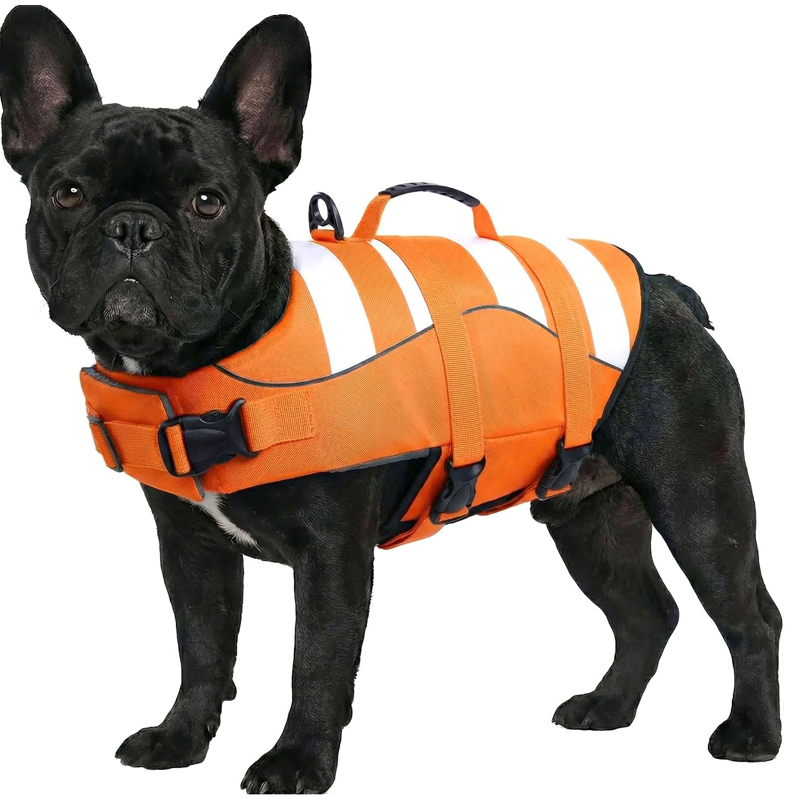ASENKU Salvagente Cane Taglia Piccola XS, Giubbotto Salvagente Cane con Manico, Pettorina Salvagente Cane,Giubbotto Galleggiante per Cani, Aiuto al Galleggiamento per Mare,Piscina,Lago