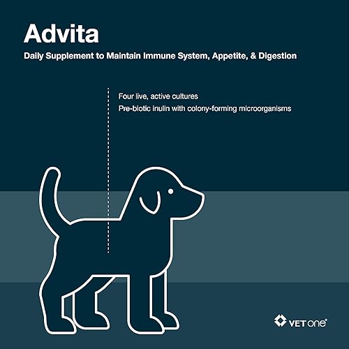 Miniatura 5 de VetOne Advita Suplemento nutricional probiótico para perros - 30, paquetes de 0.04 oz
